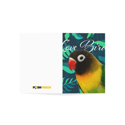 Love Bird Folded Greeting Cards (1, 10, 30, and 50pcs)