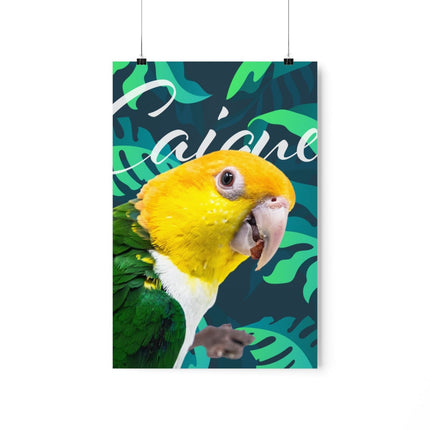 Caique Matte Poster