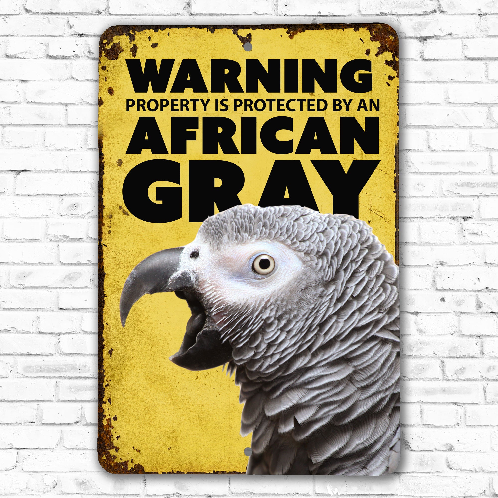 African Gray Warning Sign – The Posh Perch