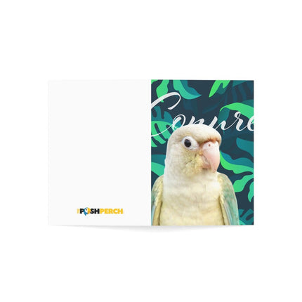 Green Cheek Conure Folded Greeting Cards (1, 10, 30, and 50pcs)