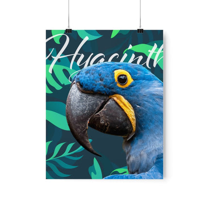 Hyacinth Macaw Matte Poster