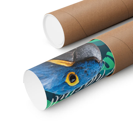 Hyacinth Macaw Matte Poster