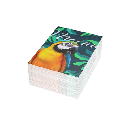Macaw Folded Greeting Cards (1, 10, 30, and 50pcs)