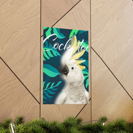 Cockatoo Matte Poster
