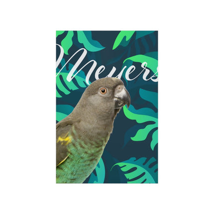 Meyers Parrot Matte Poster