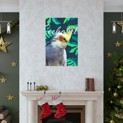 Gray Cockatiel Matte Poster