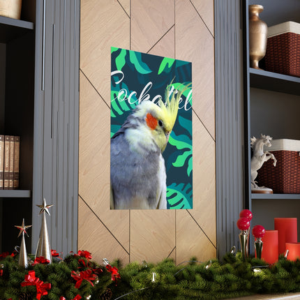 Gray Cockatiel Matte Poster