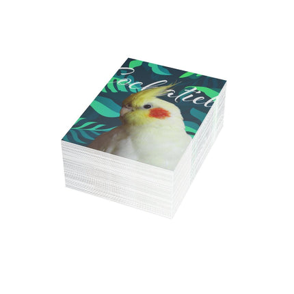 Yellow Cockatiel Folded Greeting Cards (1, 10, 30, and 50pcs)