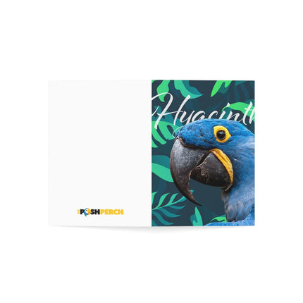 Hyacinth Folded Greeting Cards (1, 10, 30, and 50pcs)