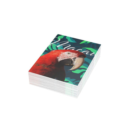 Scarlet Macaw Folded Greeting Cards (1, 10, 30, and 50pcs)