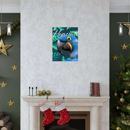 Hyacinth Macaw Matte Poster