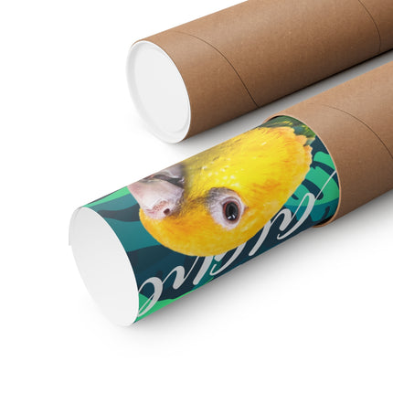 Caique Matte Poster