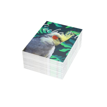 Grey Cockatiel Folded Greeting Cards (1, 10, 30, and 50pcs)