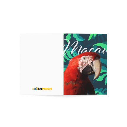 Scarlet Macaw Folded Greeting Cards (1, 10, 30, and 50pcs)