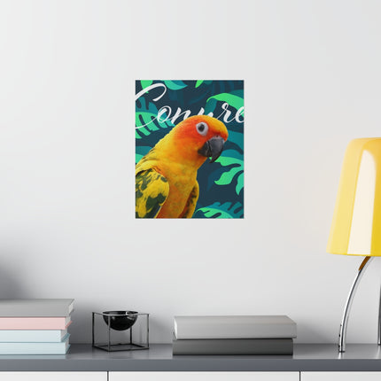 Sun Conure Matte Poster