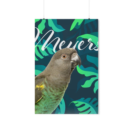 Meyers Parrot Matte Poster
