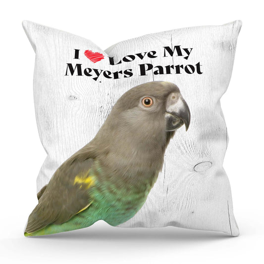 Meyers Parrot Square Throw Pillow