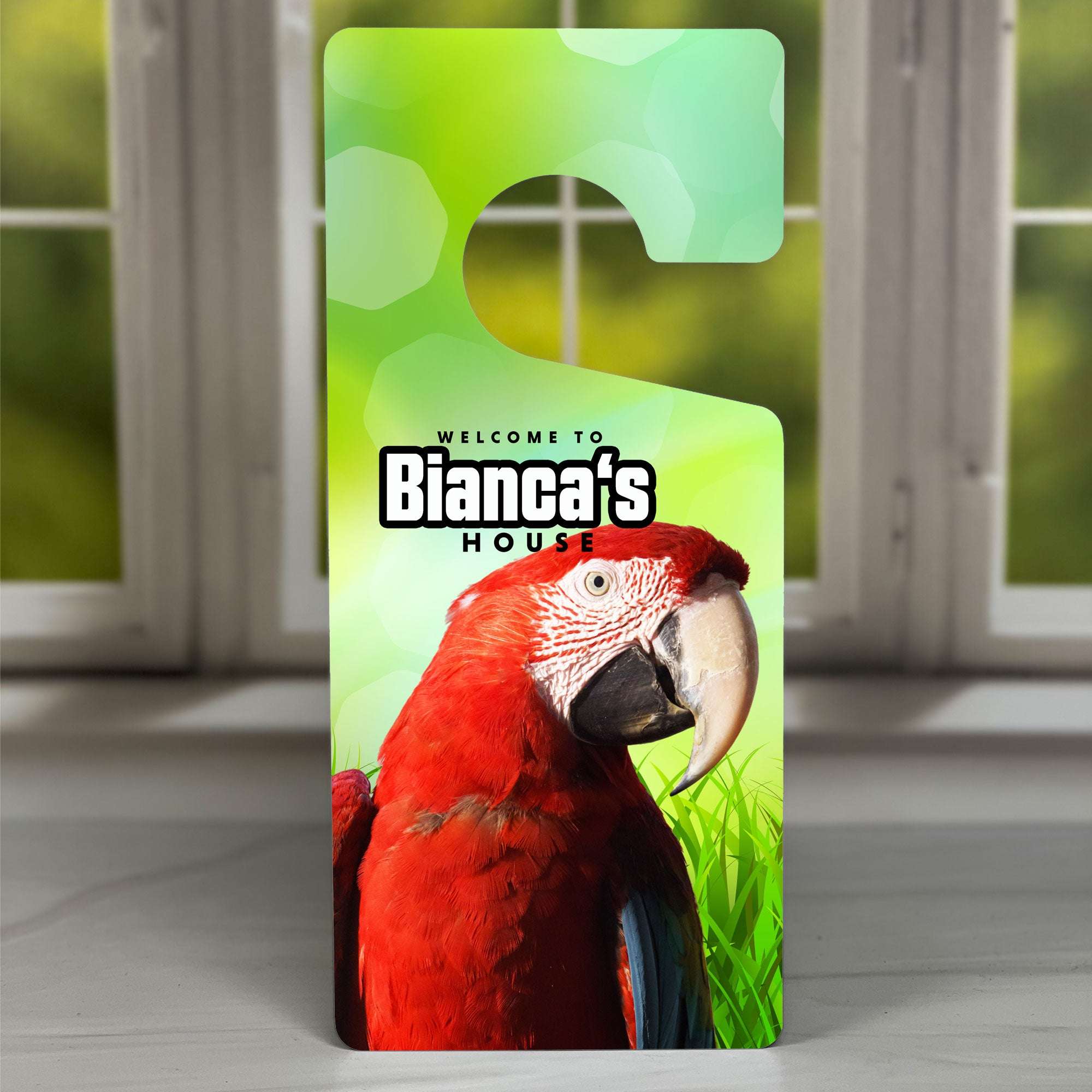A closer look at Customized Parrot Rope Hanger Enclosure For Macaws