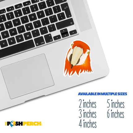 Scarlet Macaw Head Sticker