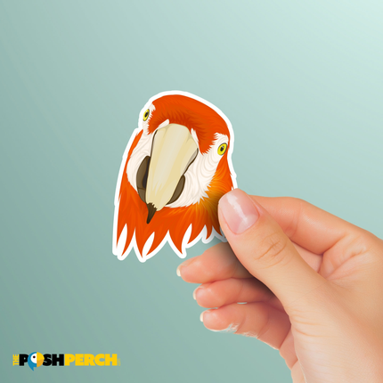 Scarlet Macaw Head Sticker