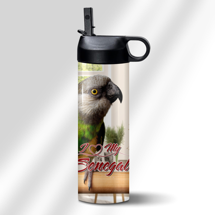 Senegal Parrot Tumbler