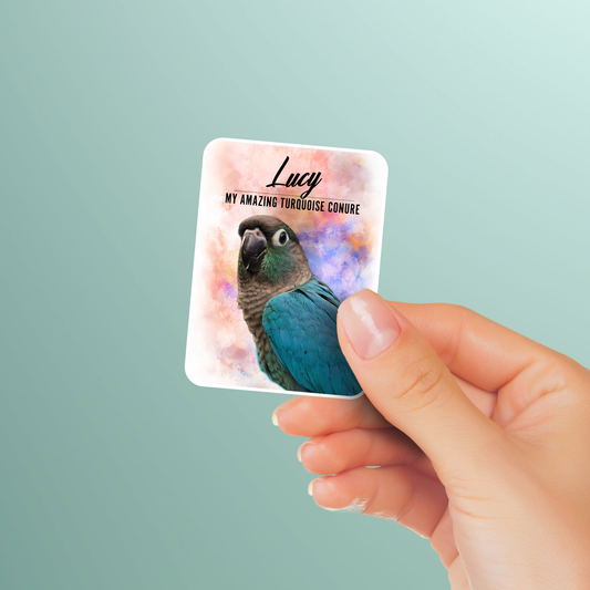 Personalized Turquoise Conure Sticker Pack