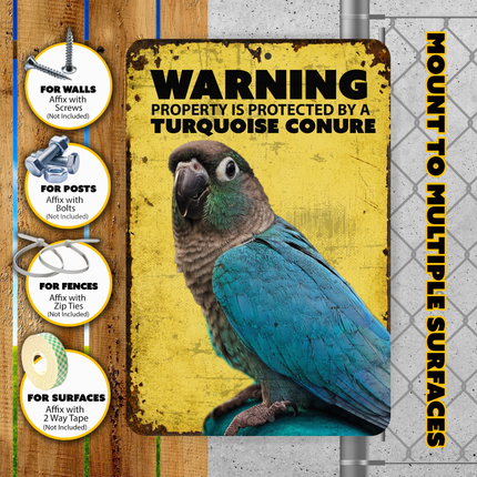 Turquoise Conure Warning Sign